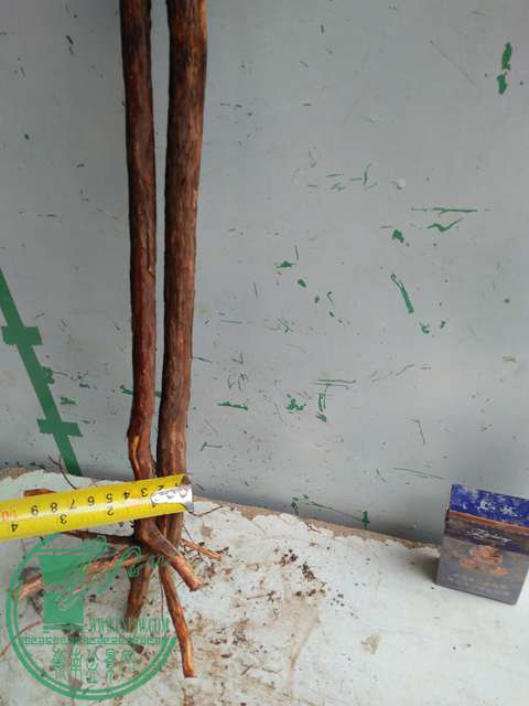 IMG20170220112403.jpg