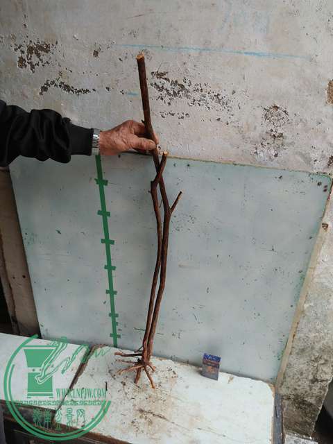 IMG20170220112359.jpg