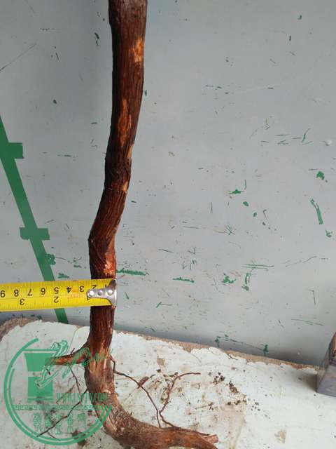 IMG20170220112423.jpg