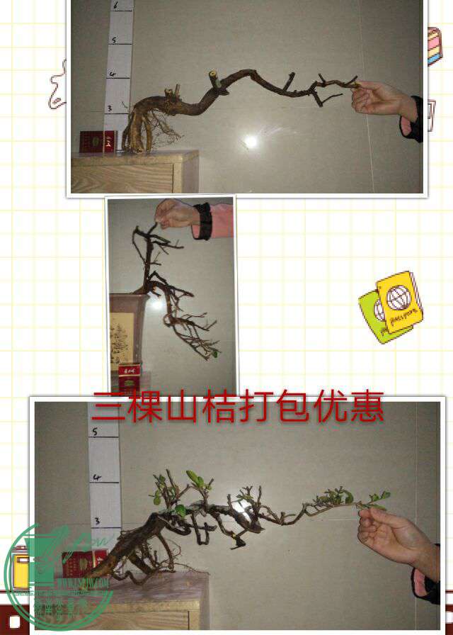 QQͼƬ20170220214309.jpg