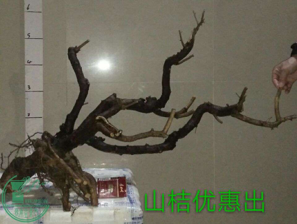 QQͼƬ20170220214323.jpg