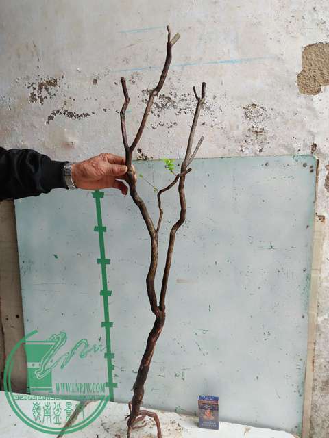 IMG20170220111646.jpg