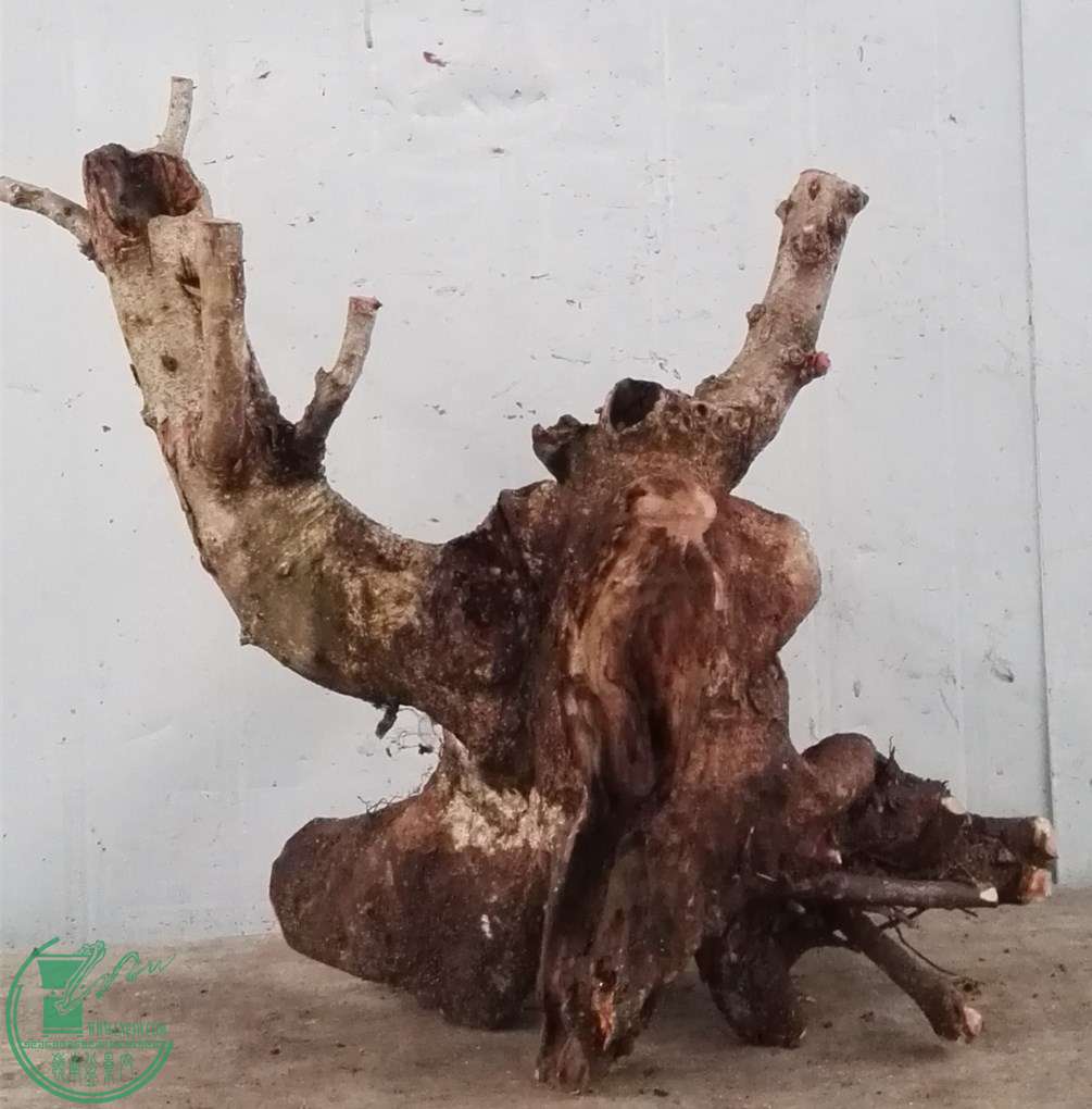 3Ŵ̶