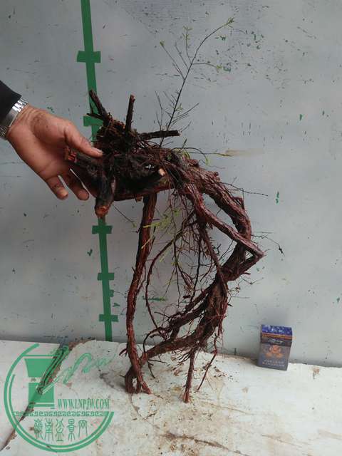 IMG20170220111049.jpg
