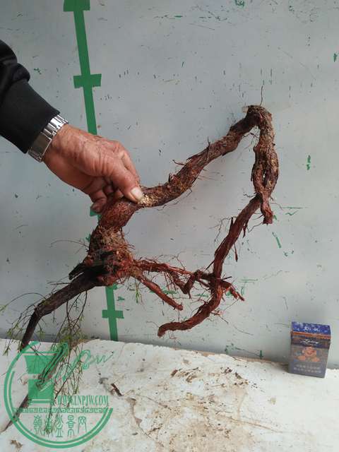 IMG20170220111119.jpg
