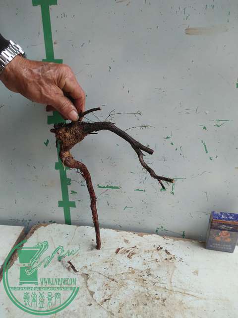 IMG20170220111141.jpg