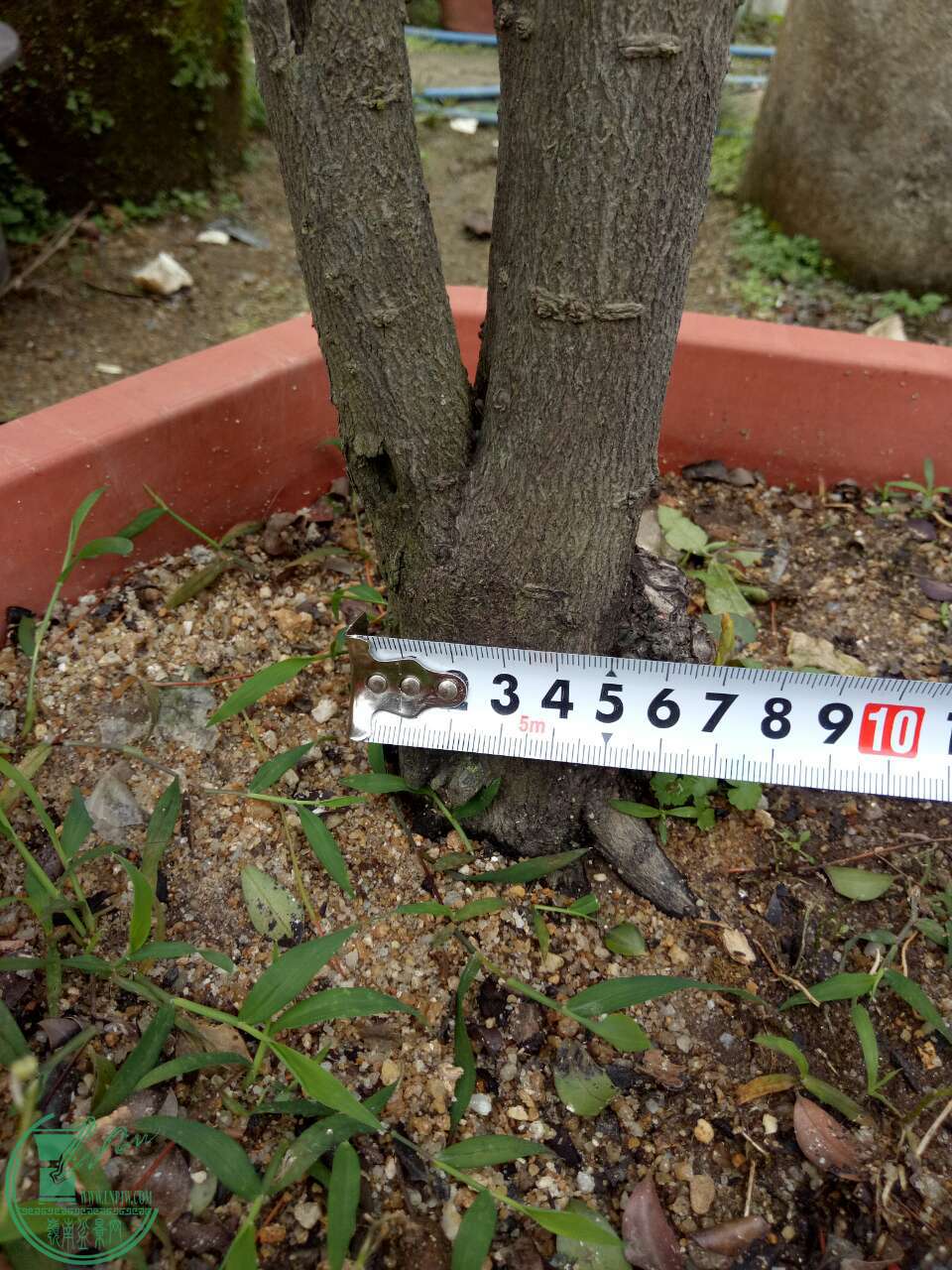 mmexport1487673518399.jpg