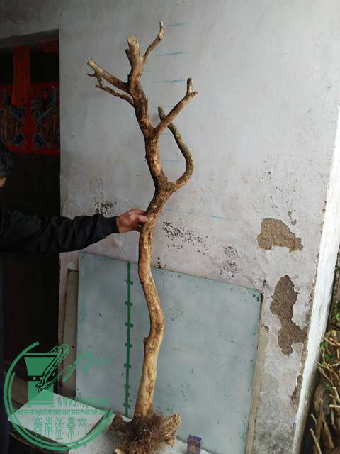 IMG20170221125741.jpg