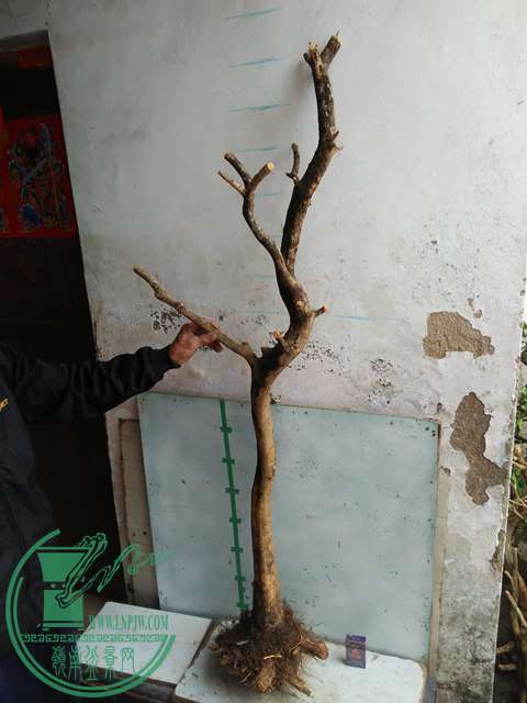 IMG20170221125835.jpg