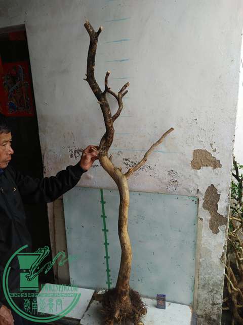 IMG20170221125857.jpg