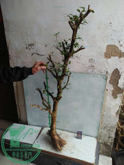 IMG20170221125942.jpg