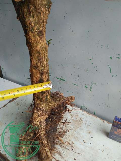 IMG20170221125953.jpg