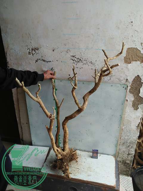 IMG20170221130040.jpg