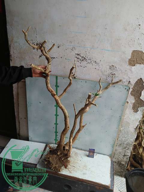 IMG20170221130059.jpg