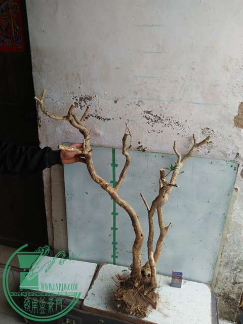 IMG20170221130112.jpg