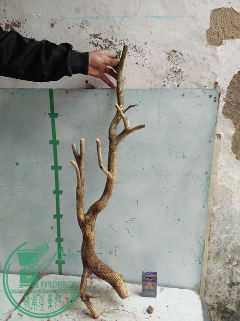 IMG20170221130710.jpg