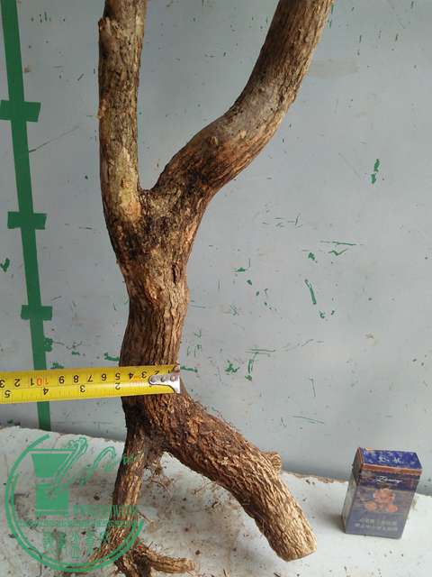IMG20170221130717.jpg