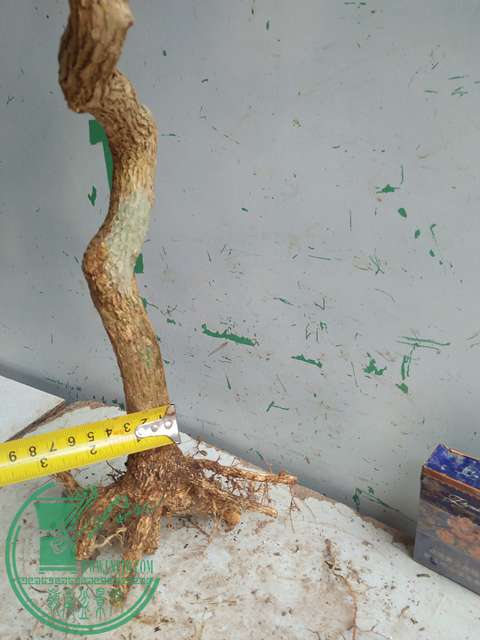 IMG20170221130943.jpg
