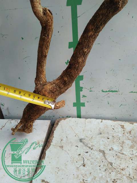 IMG20170221130752.jpg