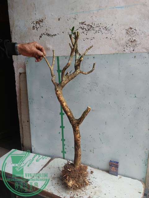 IMG20170219125959.jpg