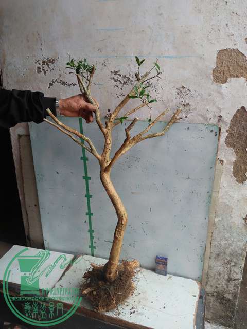IMG20170219130027.jpg