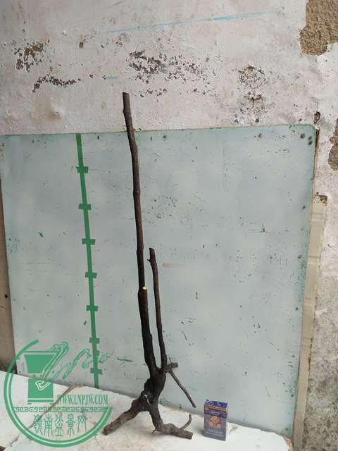 IMG20170222120752.jpg