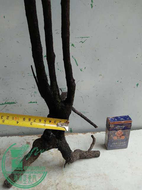 IMG20170222120759.jpg