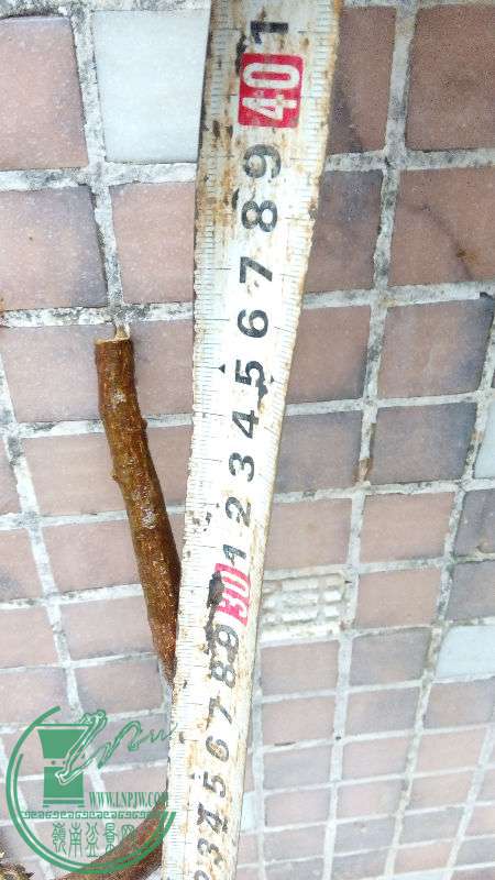 861892
