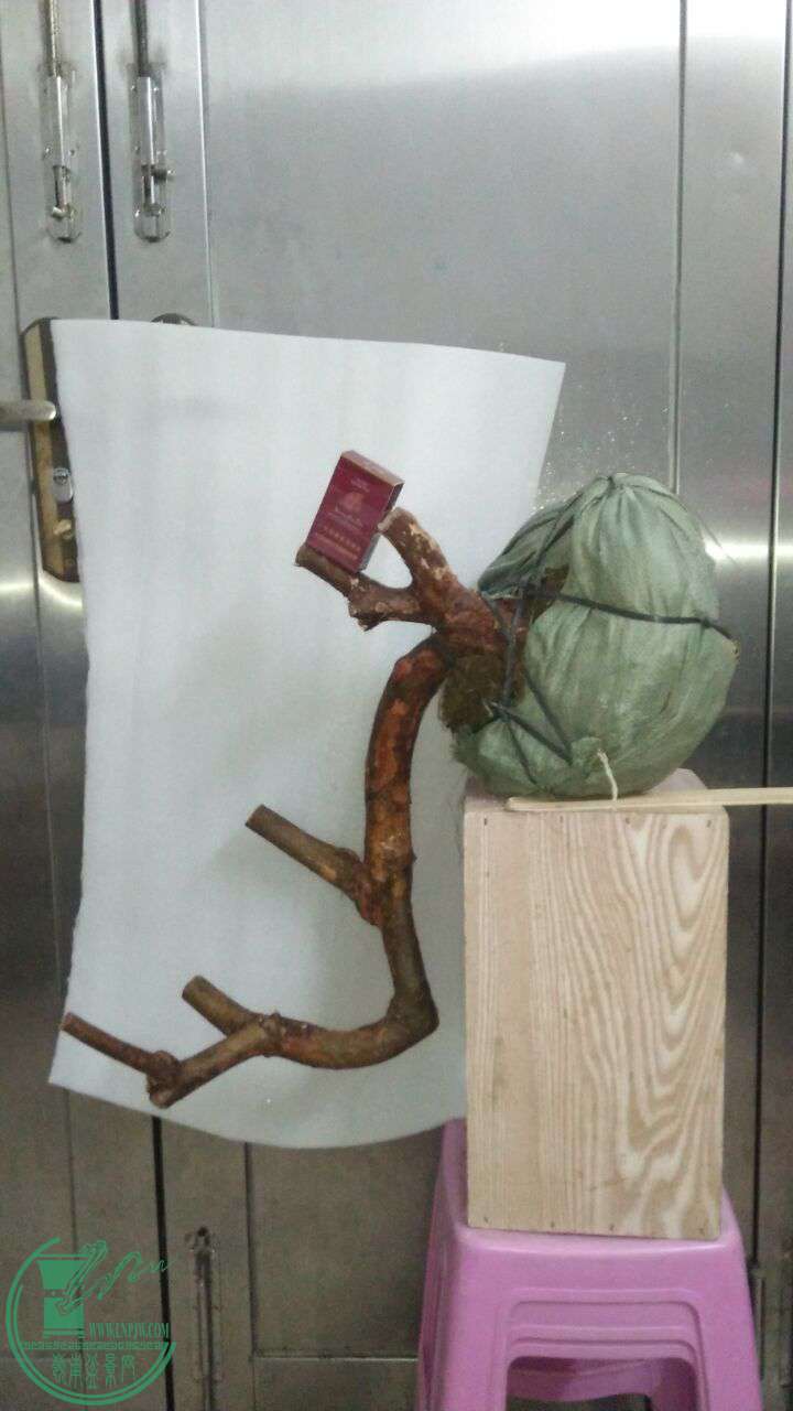 QQͼƬ20170223201131.jpg