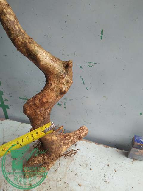 IMG20170223123439.jpg