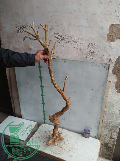 IMG20170223123451.jpg