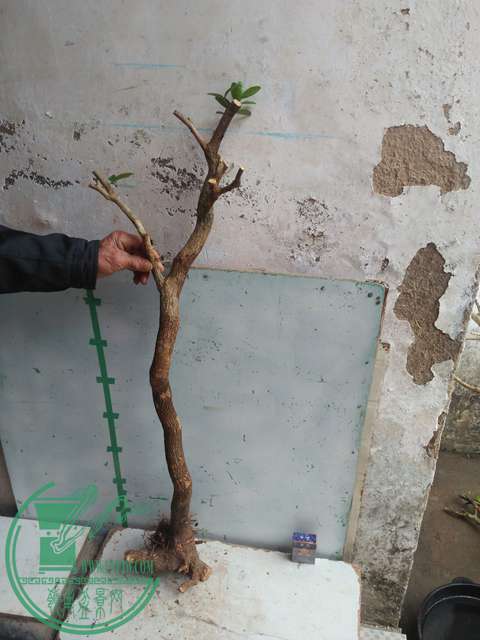 IMG20170223125248.jpg