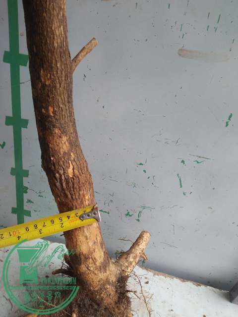 IMG20170223125312.jpg