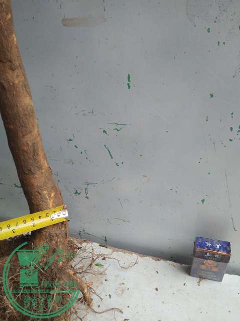 IMG20170223125453.jpg