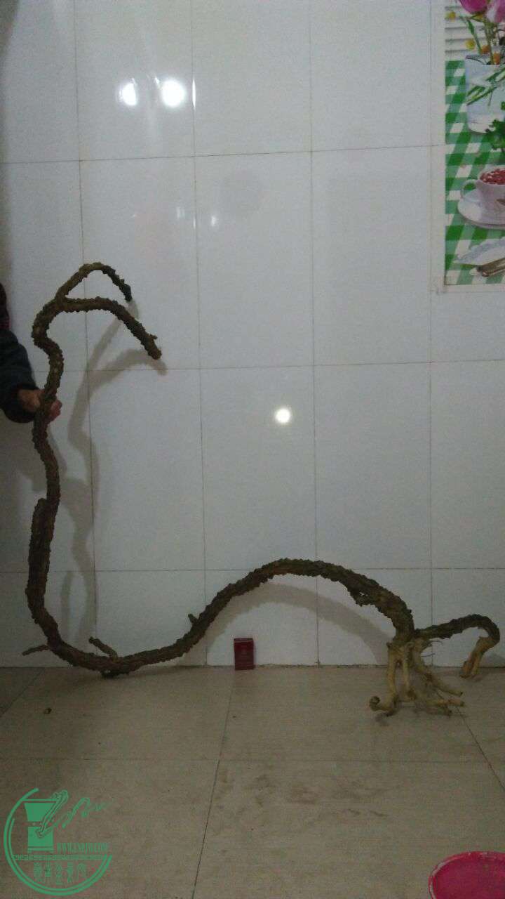 QQͼƬ20170224203437.jpg
