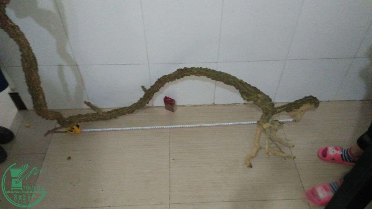 QQͼƬ20170224203417.jpg