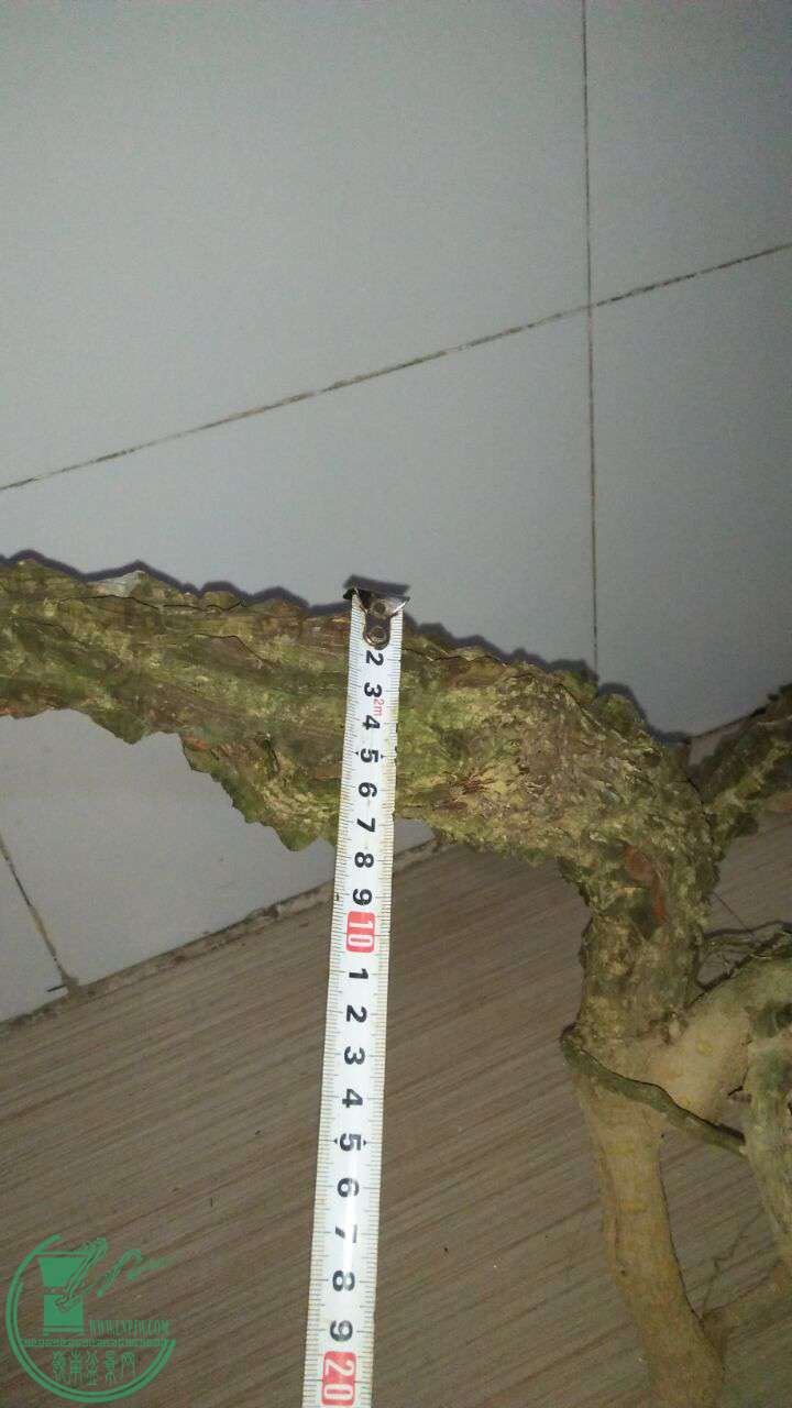 QQͼƬ20170224203431.jpg