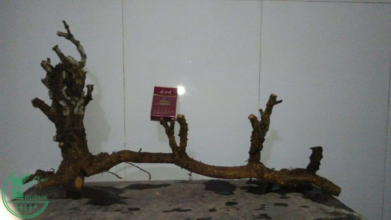 QQͼƬ20170224203547.jpg