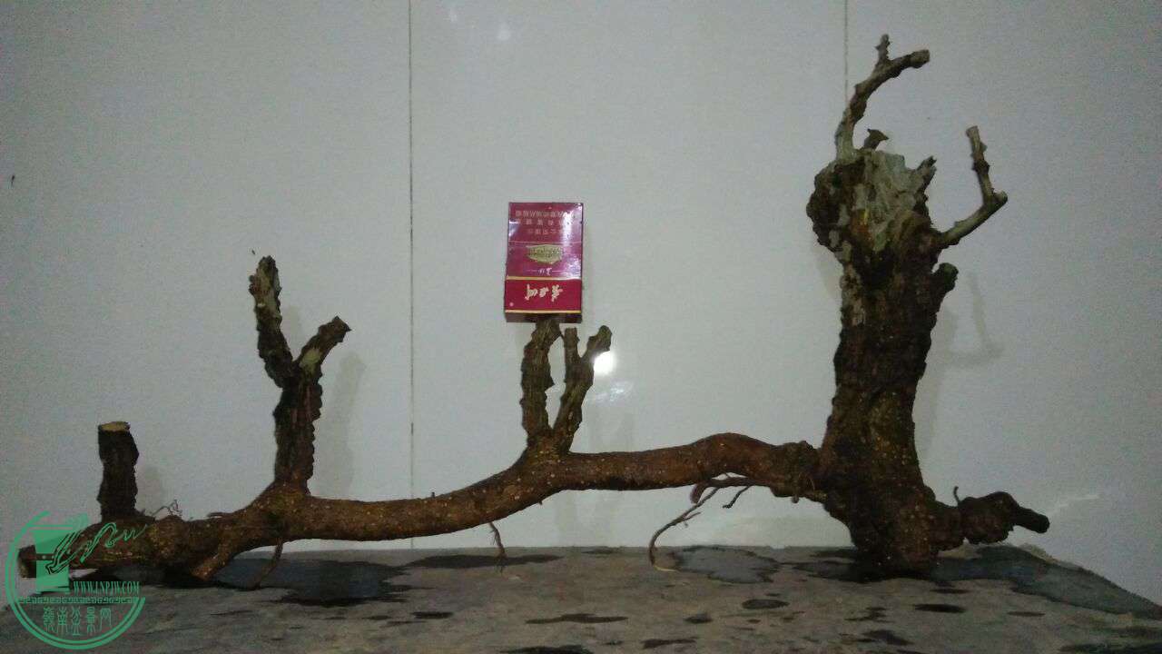 QQͼƬ20170224203555.jpg