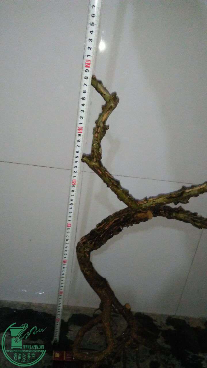 QQͼƬ20170224203525.jpg