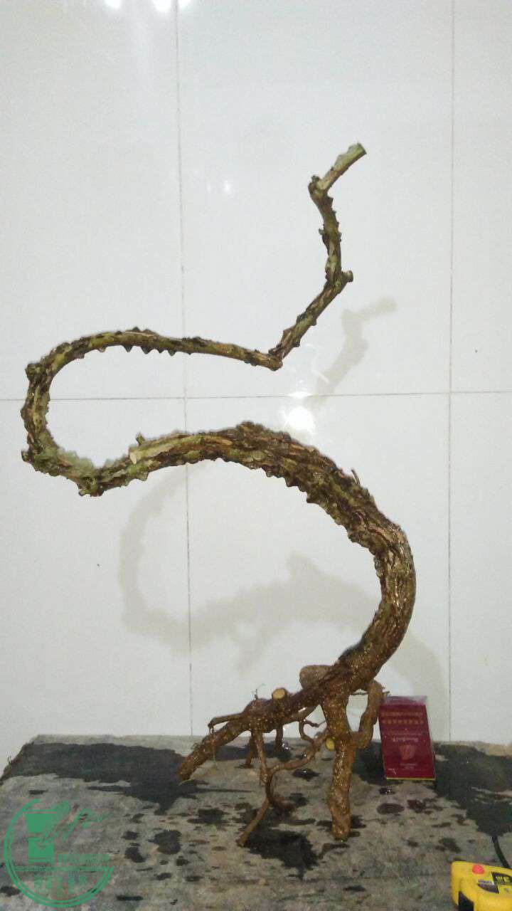QQͼƬ20170224203518.jpg