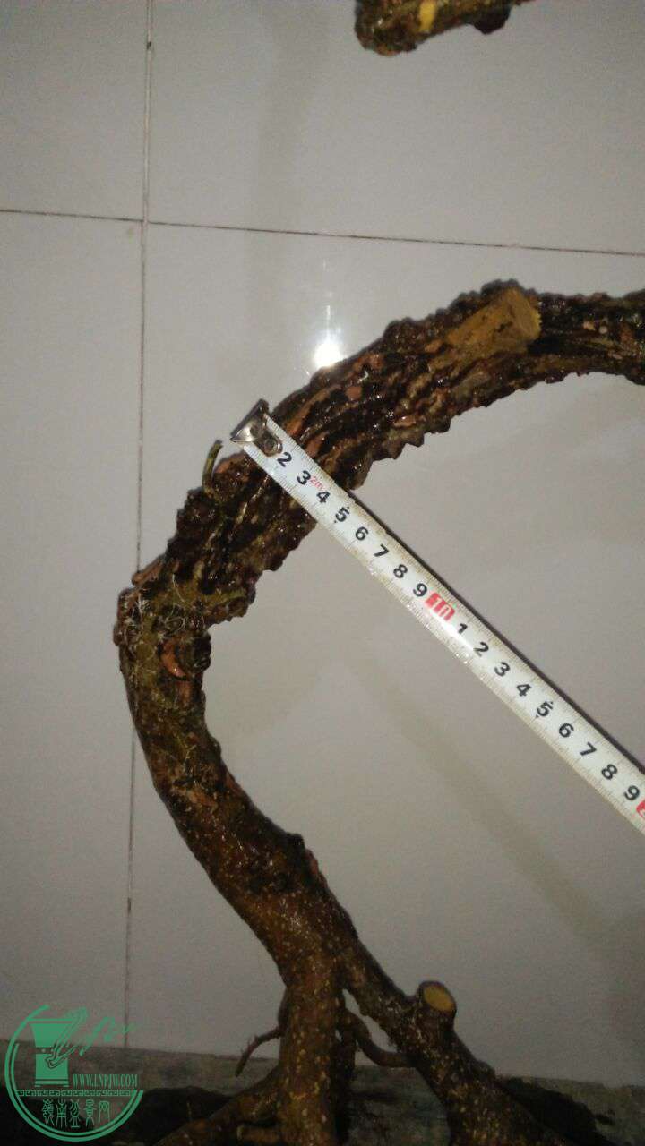 QQͼƬ20170224203529.jpg