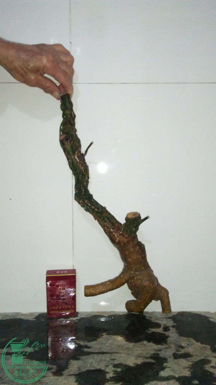 QQͼƬ20170224203459.jpg