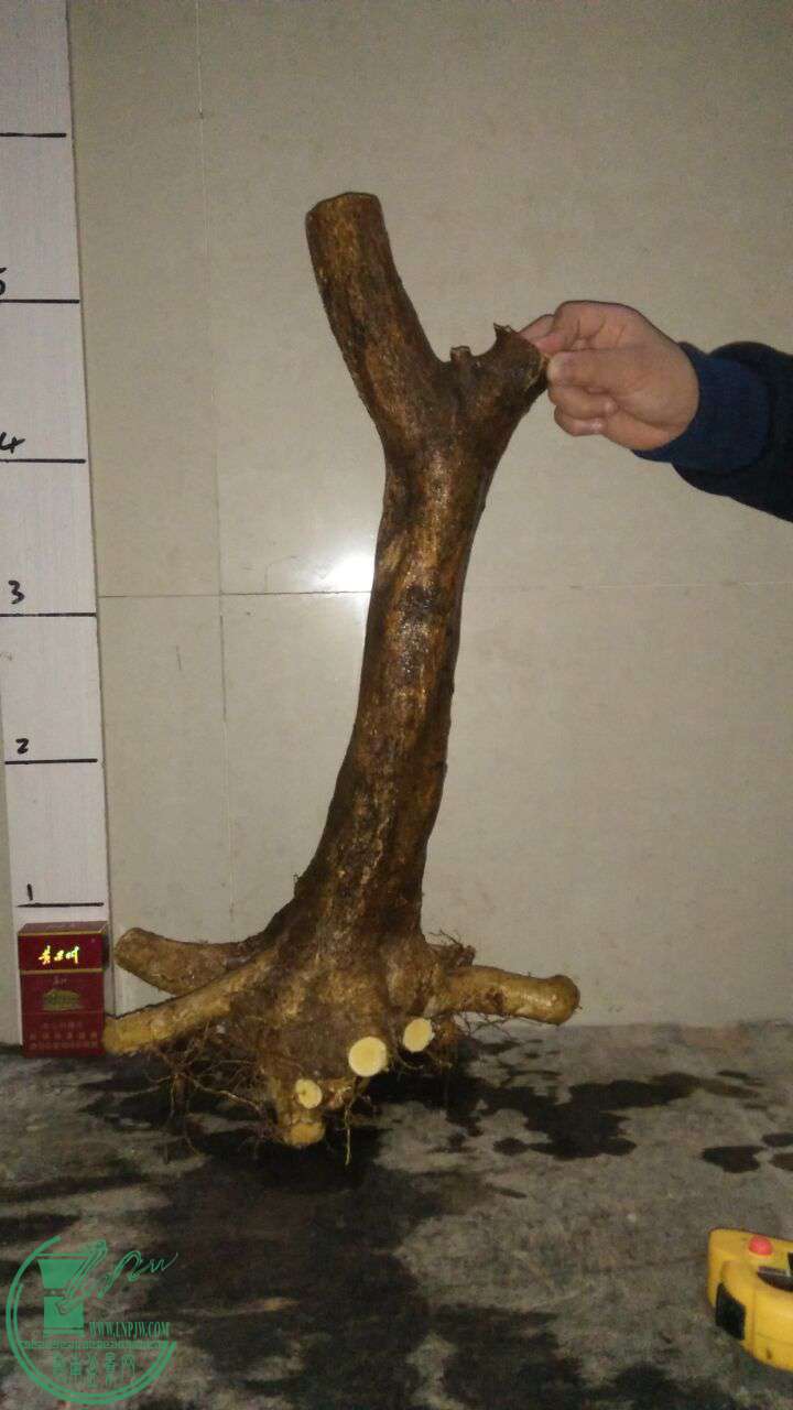 QQͼƬ20170225201256.jpg