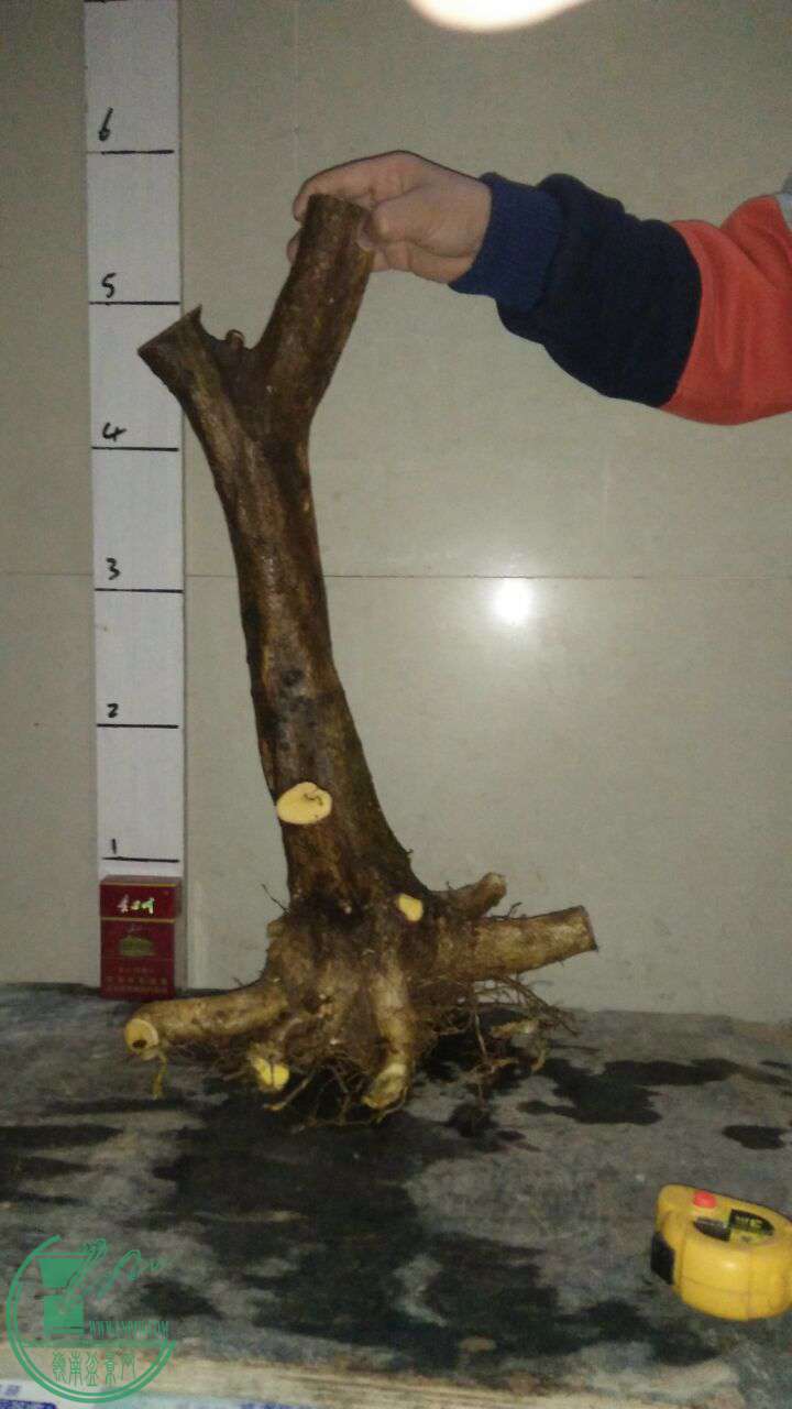 QQͼƬ20170225201303.jpg