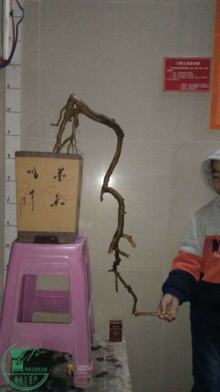QQͼƬ20170225201218.jpg