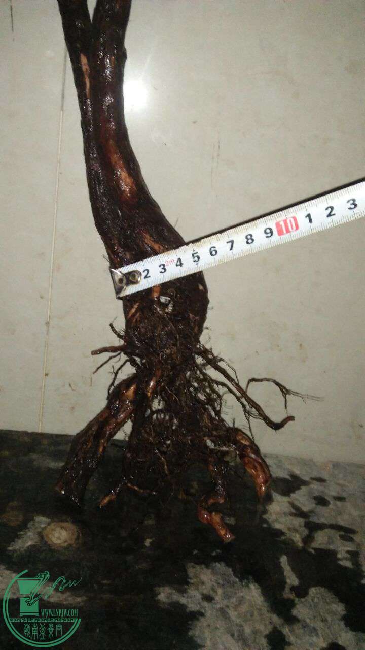 QQͼƬ20170225201318.jpg