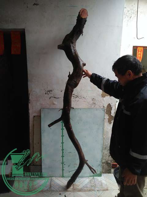 IMG20170225164440.jpg
