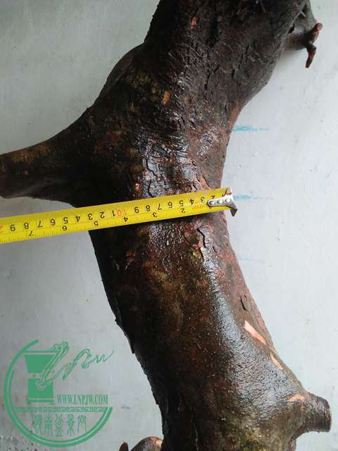 IMG20170225164453.jpg
