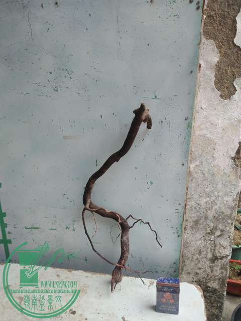 IMG20170225172024.jpg